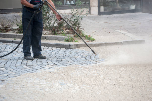 Best Animal Enclosure Cleaning  in Minot, ND